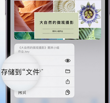 渭源apple维修中心分享iPhone文件应用中存储和找到下载文件