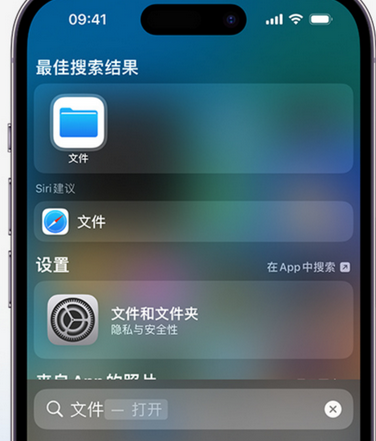 渭源apple维修中心分享iPhone文件应用中存储和找到下载文件