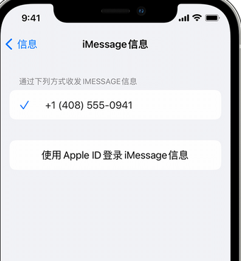 渭源apple维修iPhone上无法正常发送iMessage信息 