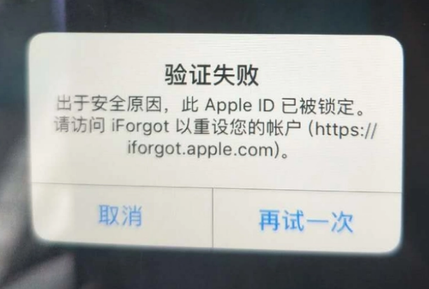 渭源iPhone维修分享iPhone上正常登录或使用AppleID怎么办 