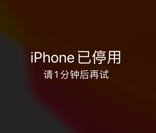 渭源苹果手机维修分享:iPhone 显示“不可用”或“已停用”怎么办？还能保留数据吗？ 