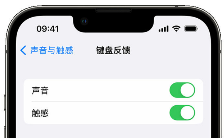 渭源苹果手机维修分享iPhone 14触感键盘使用方法 