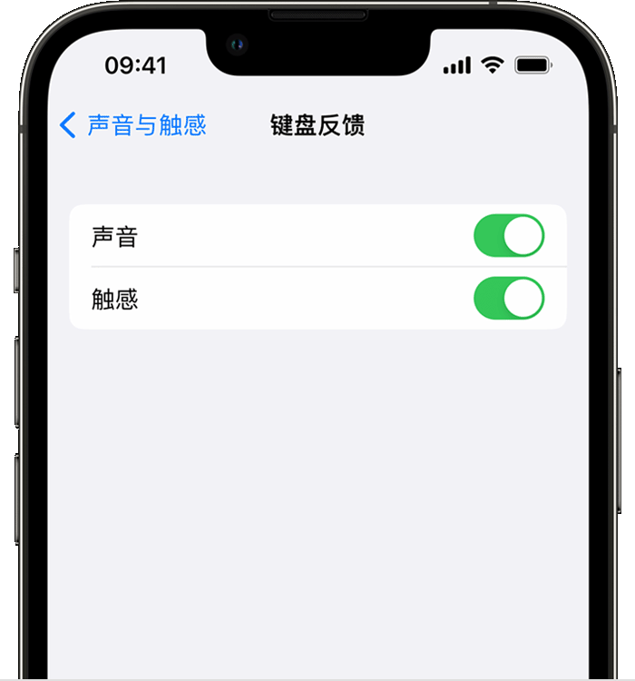 渭源苹果14维修店分享如何在 iPhone 14 机型中使用触感键盘 