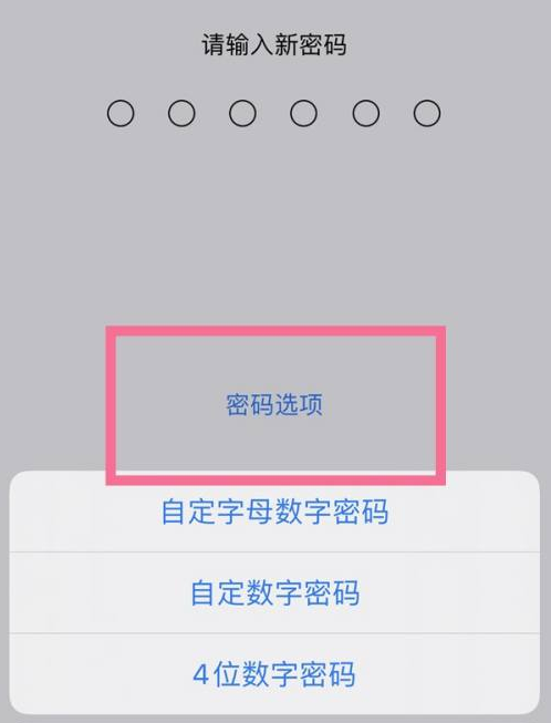 渭源苹果14维修分享iPhone 14plus设置密码的方法 