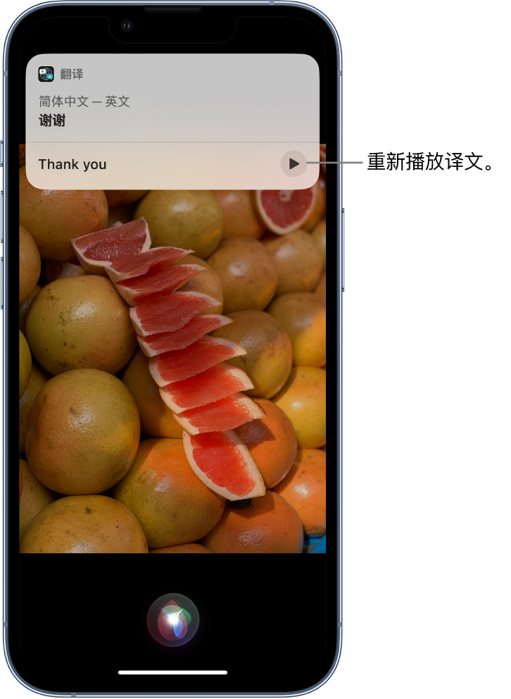 渭源苹果14维修分享 iPhone 14 机型中使用 Siri：了解 Siri 能帮你做什么 