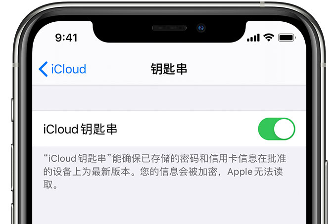 渭源苹果手机维修分享在 iPhone 上开启 iCloud 钥匙串之后会储存哪些信息 