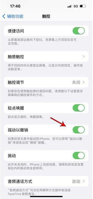 渭源苹果手机维修分享iPhone手机如何设置摇一摇删除文字 